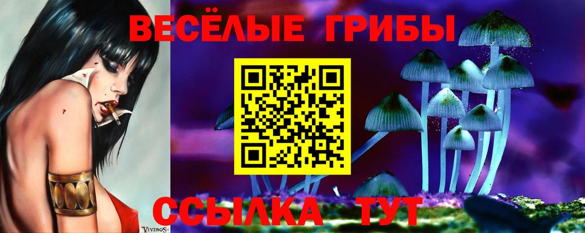 Псилоцибиновые грибы мицелий  Вход с VPN  Таганрог 